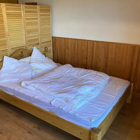 Apartamento La Dranse, Centre-ville, Parking, Navette Et Vue Montagne *