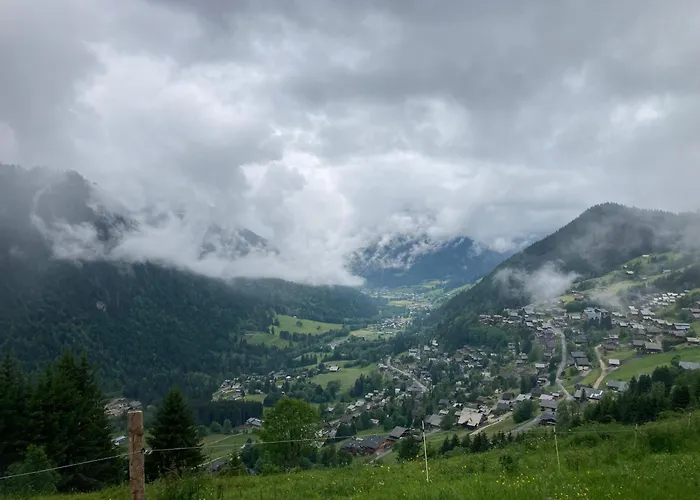 La Dranse, Centre-ville, Parking, Navette Et Vue Montagne 沙泰勒